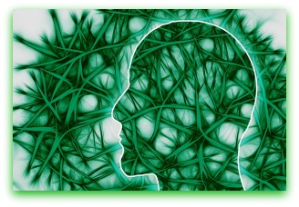 Zellgedächtnis – Ewiges Leben!