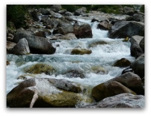 Wasser das Lebenselixier