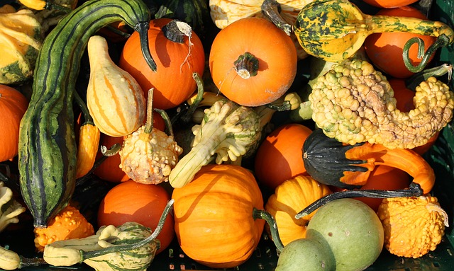 Halloween oder gleich Samhain?