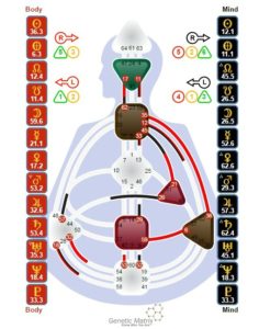 Die Rede von Donald Trump aus Human Design Sicht