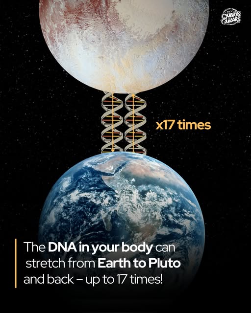 Die neue Weltordnung Episode 21